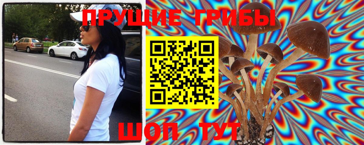 Галлюциногенные грибы мицелий  Псилоцибиновые грибы ЛСД  Комсомольск-на-Амуре 