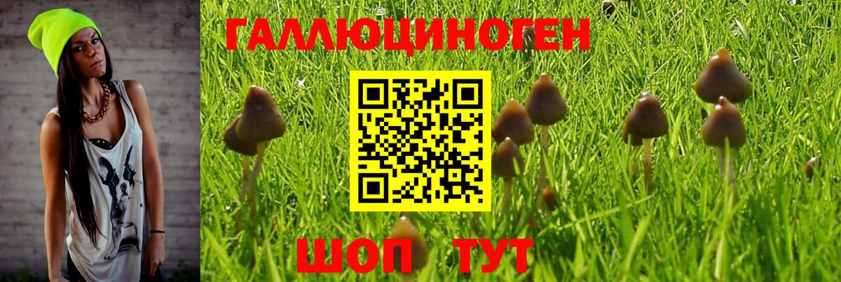 Галлюциногенные грибы прущие грибы  Вход с VPN  Псилоцибиновые грибы Magic Shrooms  Комсомольск-на-Амуре 
